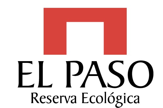 logo nuevo